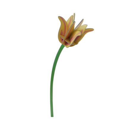 Fleur decorative carton tulipe Studio Roof