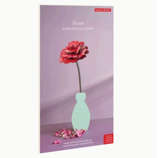 Fleur decorative carton rose Studio Roof