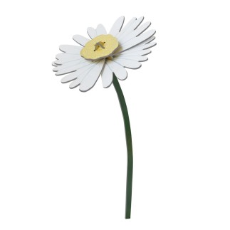 Fleur decorative carton marguerite Studio Roof Daisy