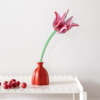 Fleur tulipe decorative carton Studio Roof