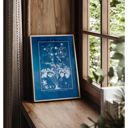Affiche ancienne plante The Dybdahl Geranium