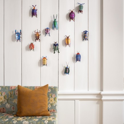 insecte decoration murale carton studio roof mango flower beetle