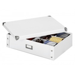 Zeller 12-Fächer-Aufbewahrungsbox weißer Karton