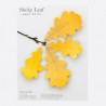 Autumn Oak Leaf-it Sticky Notes Large