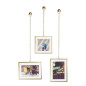 umbra 311335-221 fotochain cadre photo suspendu sur chaine de maillon bronze