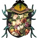 miroir mural decoratif miho scarabee keith