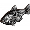 miho poisson decoratif noir et blanc vertigo